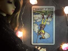 이번 주의 카드: Page of Swords reversed