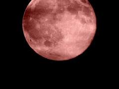 VAMPIRE vs VAMPIRE HUNTER AU