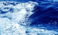 暉 海浪/發光文魚