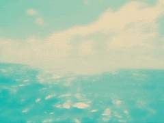 짧글 :: 나라는 무인도에 너라는 오아시스의 별이 찾아왔다. [뜰크루] ;; 원혐조