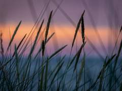 Sing to me over again