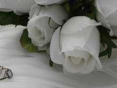 Give us nothing but love.