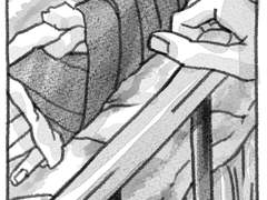 the sleeping beauty awakes