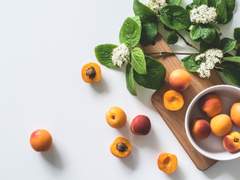 (몽키키드/홍메이)연인이 특별한 선물을 들고오면 어떻해야 하나요?