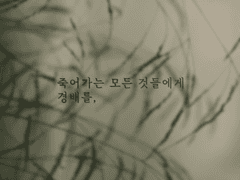 죽어가는 모든 것들에게 경배를