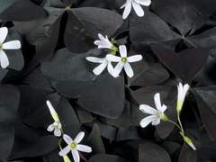 아마도...이제 우리 친구지?