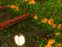 :: 노란 장미 쉼터 ::