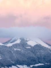 영웅이 향하는 곳