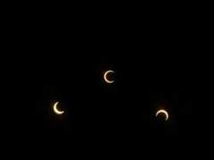 이기적인 쾌락주의자를 잡아두는 방법