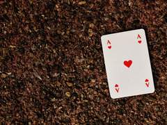 행복한 고민이네요.