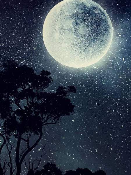 [매함설몽] 미성숙 여름 가판대