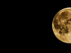 달이 떴다고 전화를...