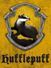 후플푸프의 그 애