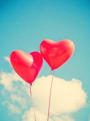 └ 백민 :: 알고 보면 사랑스러운