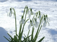 백서리/3학년/XY