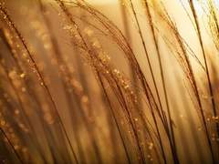 [1] 헤스티아 예레미아 퍼스 앞