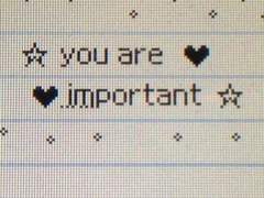 2020년 크라피카 백업