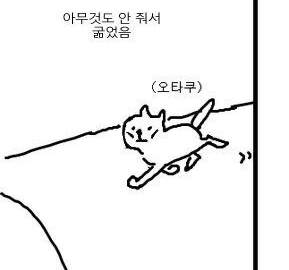 2021 2월의 크라피카 백업