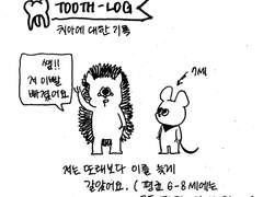 치아에 대한 기록 (1)