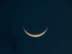 [닉스유리] 제비꽃 결정