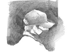 다가려도 전정국