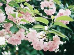 그대랑 하고 싶은 거예요