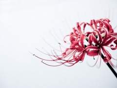 누군지 모를 당신에게.