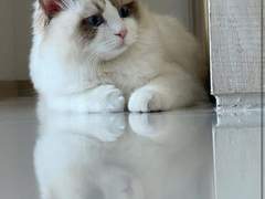 Hello, My Sweety_ 11