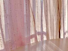 사쿠라, 사쿠라