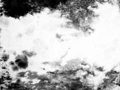 죽음 이후의 조각.