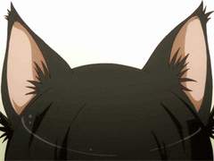 [나츠루시] 네코미미