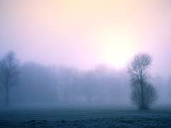 새벽의 그림자가,