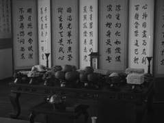 4화. 빛이 감싼 어둠