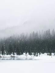 낙성의 밤: 윈터