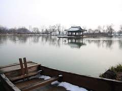 삼도천의 꽃잎 자락