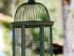 [1] 아비네인트 존느 블루버드 앞