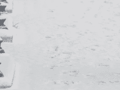 독을 품은 빙하.