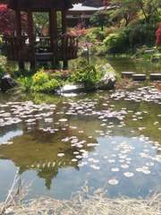 구겨왔던 내 날개를 활짝 펼쳐