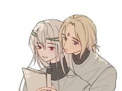 퓨바세릴 & 감초석류