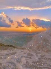 (백도) 시나브로