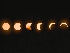 세스루 대화 백업