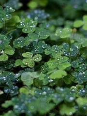 [BL]계절의 교차점