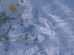 수면(水面)이 일다