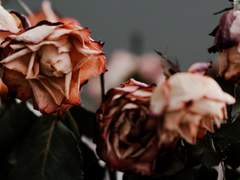 나는 사실 널 보면 그냥 울고 싶었다