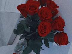 어쩌다, 서브 가이드 外-5