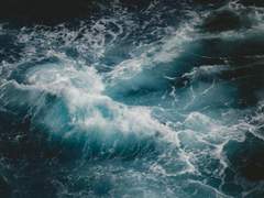 질투심 참기 대회 下