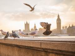 이방인과 이방인