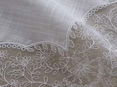 어느 생일 카드 초안