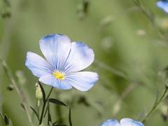 내 기억 속의 당신