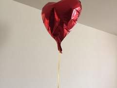 스앵님덜 장수커플